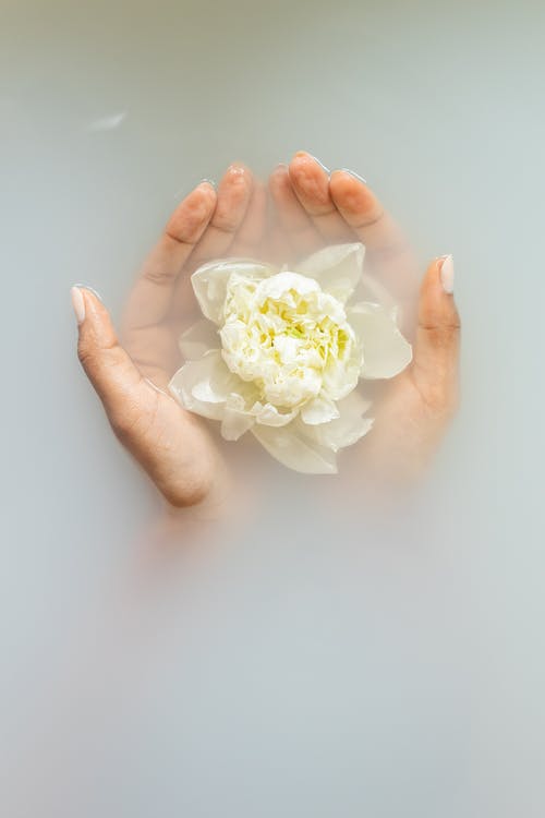 향수의 재료