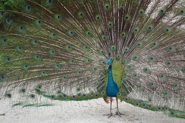호암미술관 관람 시 유의 사항