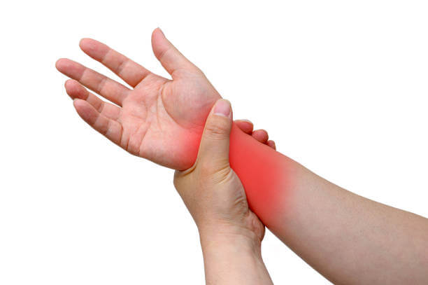 퓨린이-많은-술-종류에-대해서