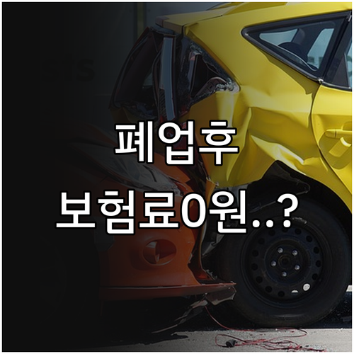 사업자 폐업 신고 후 건강보험 피부양..