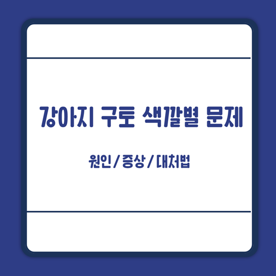 강아지 토 원인