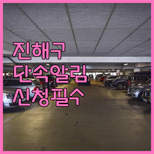 진해구 주정차 단속 알림 서비스 신청..