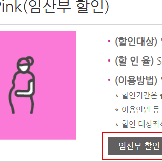 임산부-기차-할인