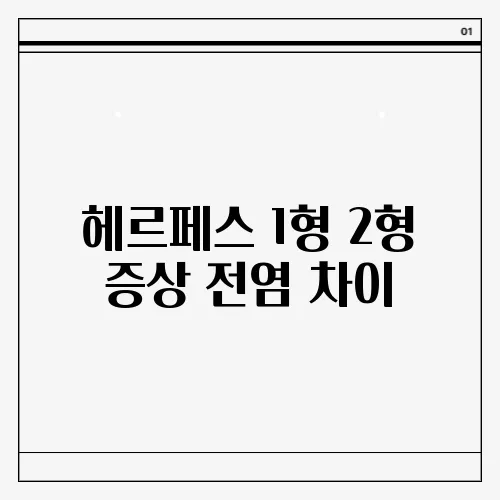 헤르페스 1형 2형 증상 전염 차이