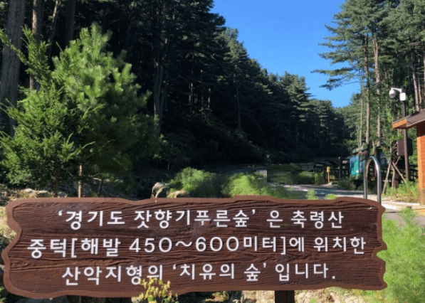 가평-잣향기-푸른숲