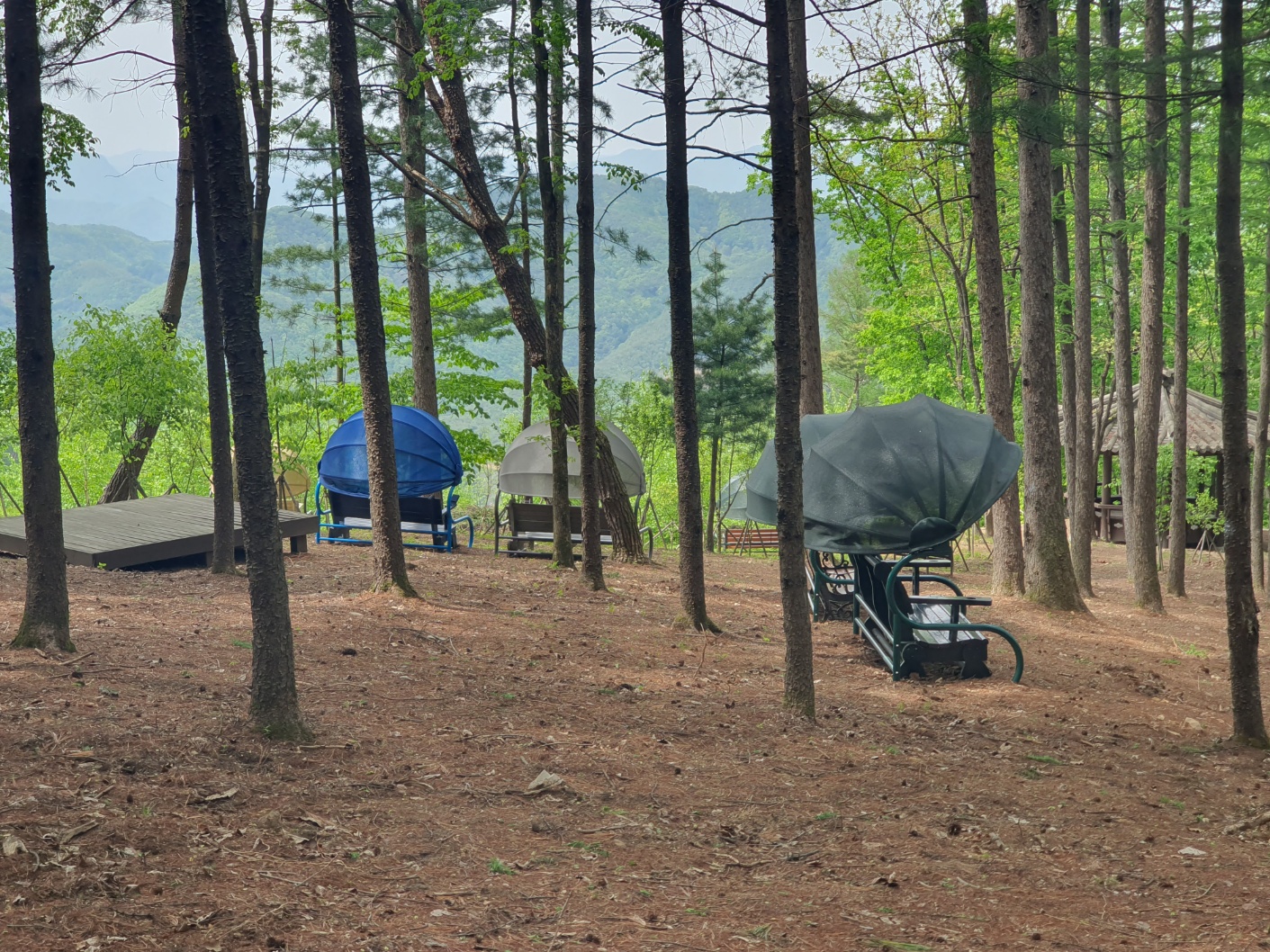 봉래산산림욕장