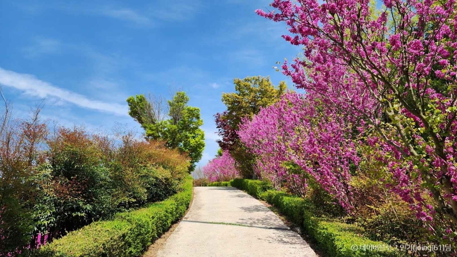 진안꽃잔디동산