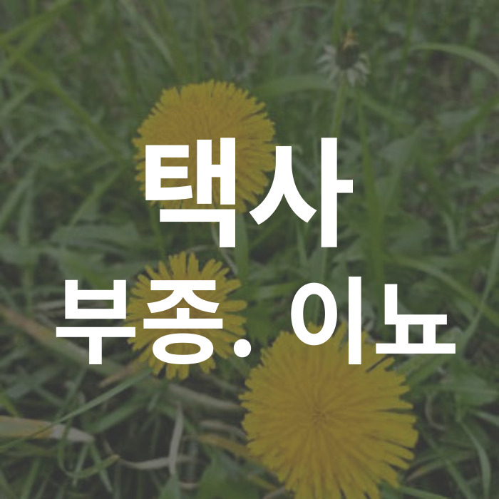 택사