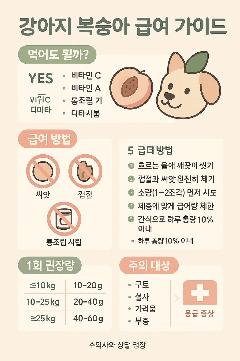 강아지 복숭아 먹어도 될까? 안전하게 주는 방법