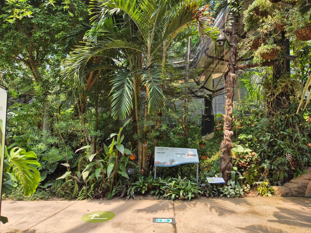 열대관 식물 사진 9