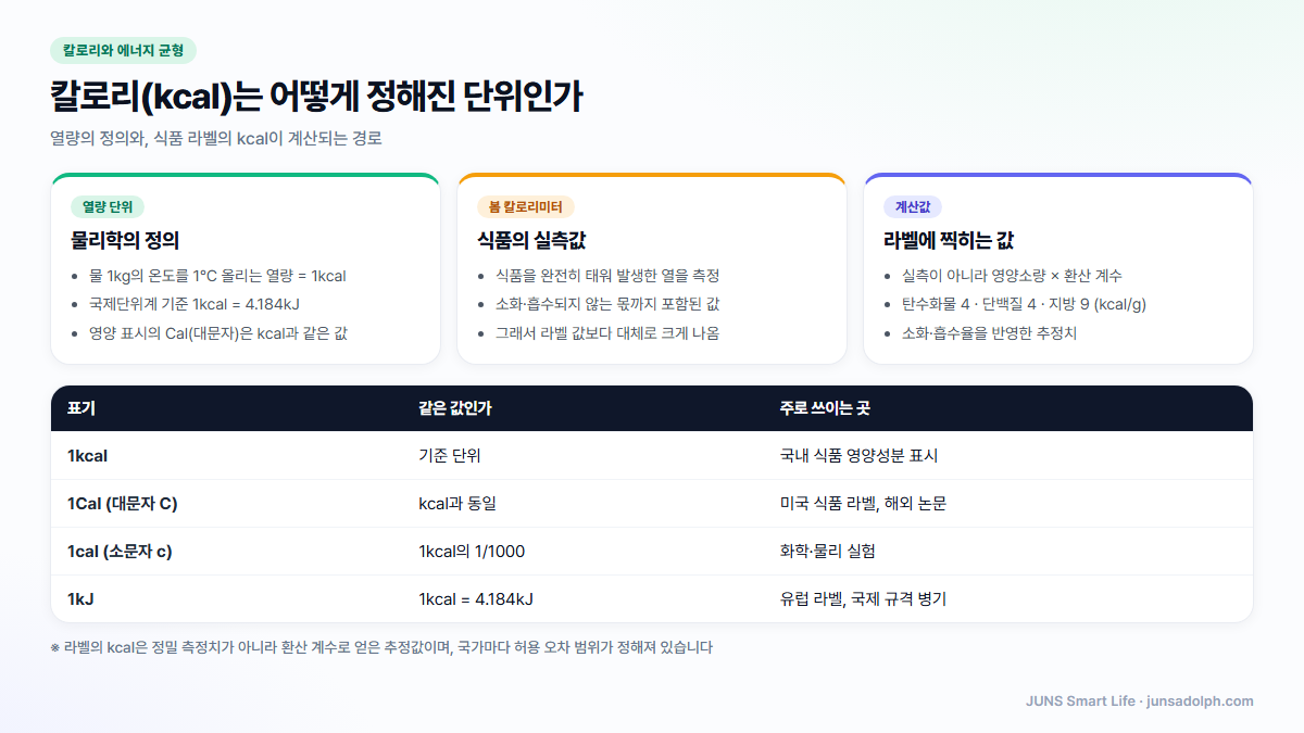 칼로리의 정의와 식품 라벨 kcal이 계산되는 경로 도식