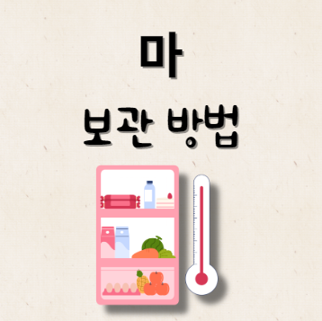 마 보관 방법