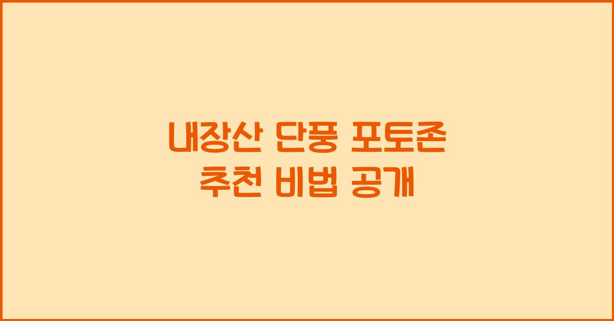 내장산 단풍 포토존 추천