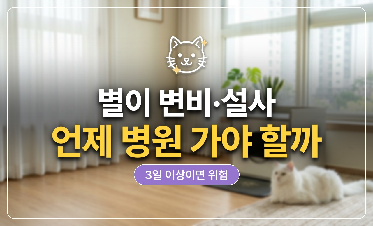 고양이 변비 설사