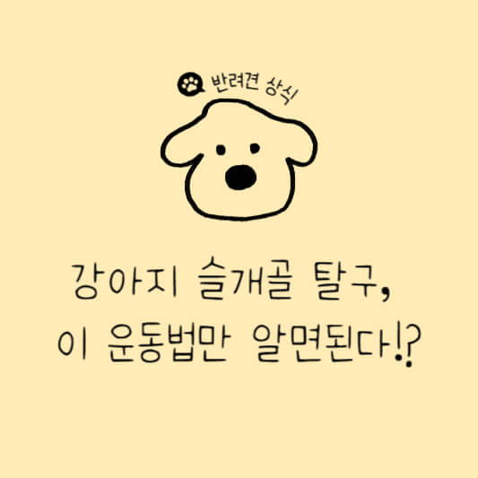 강아지슬개골탈구스트레칭