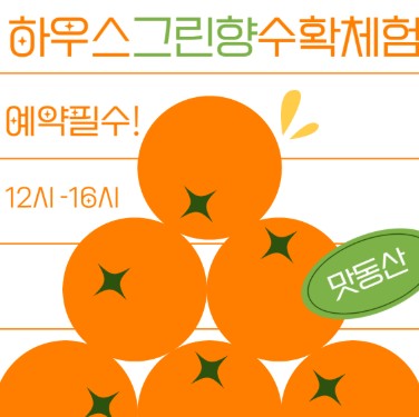 제주 그린향 맛동산감귤체험농장