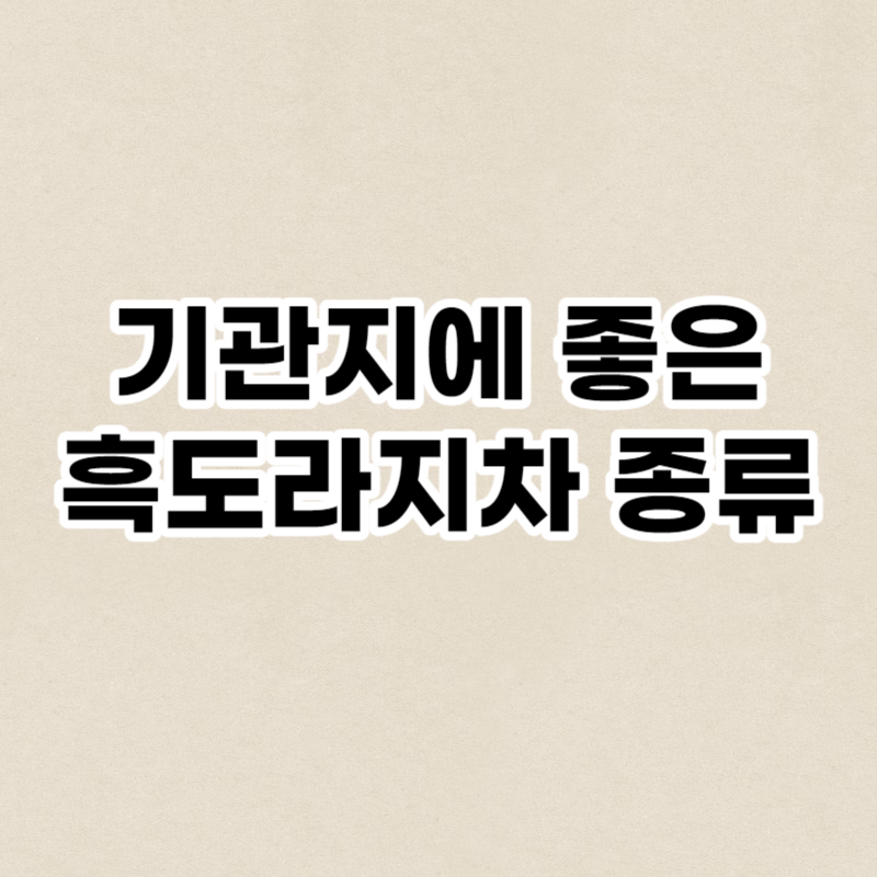 기관지에 좋은 흑도라지차 종류