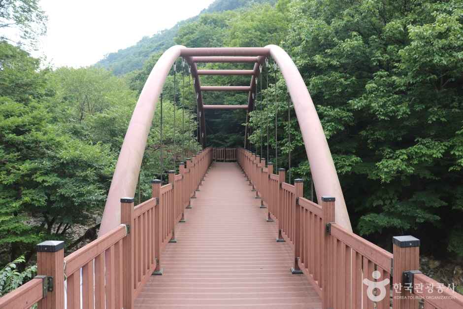 금산생태숲