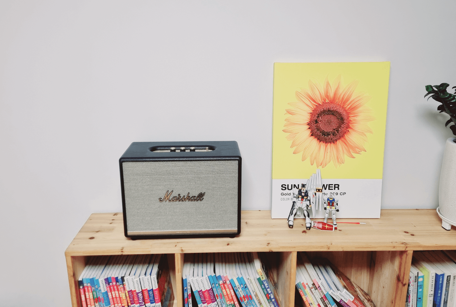 책꽃이 위 마샬