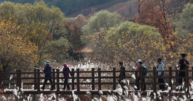 문경 돌리네습지