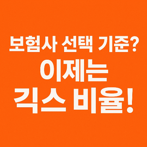 킥스 비율이란?