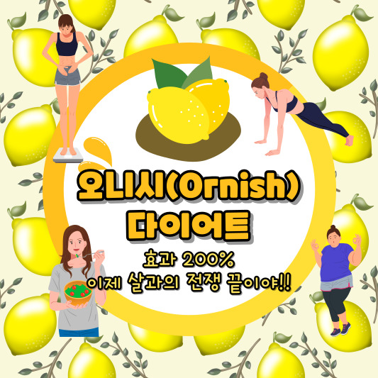 오니시 다이어트