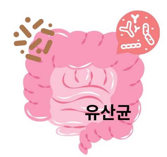 유산균
