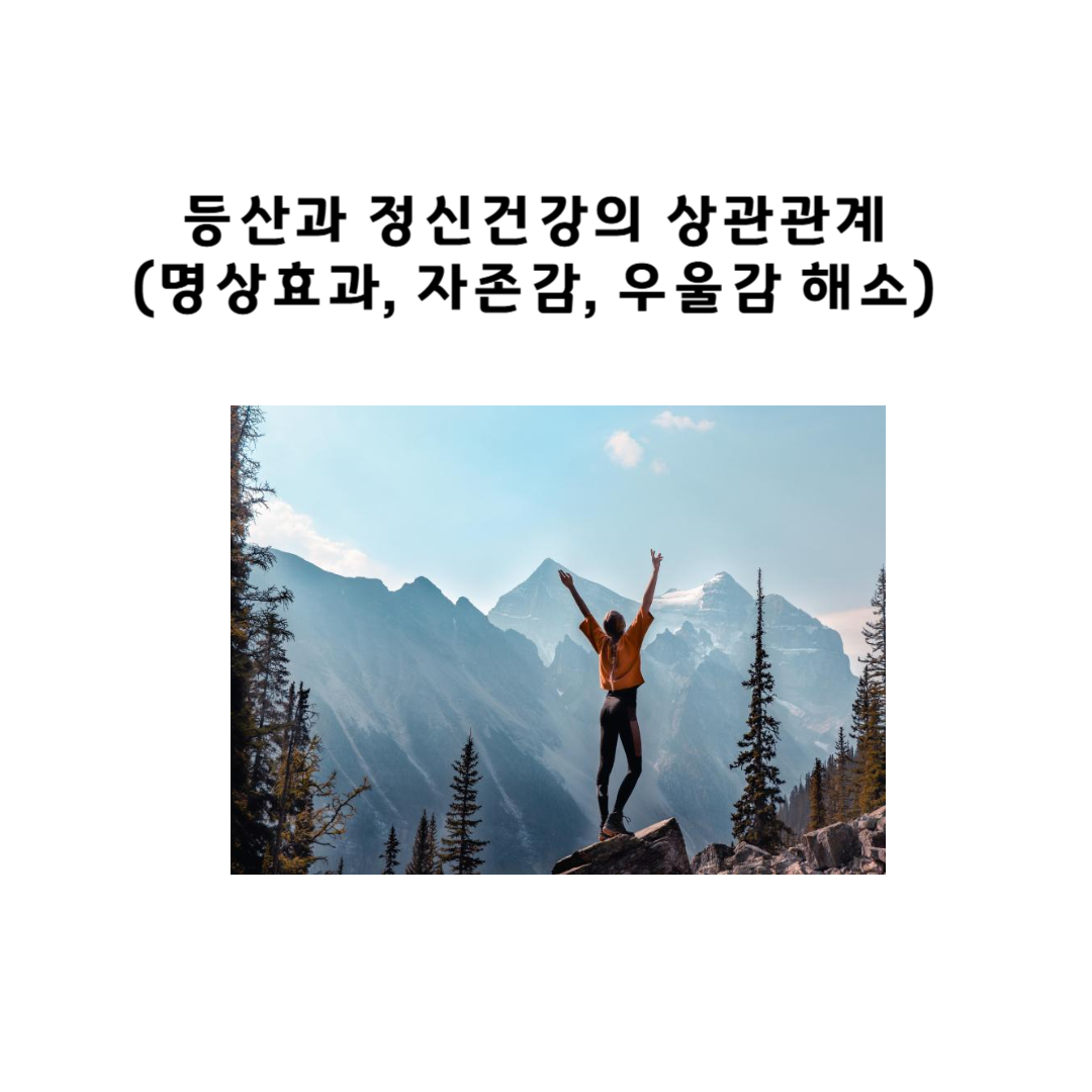 등산과 정신건강의 상관관계 (명상효과, 자존감, 우울감 해소)