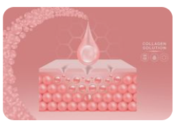 라이넥 태반주사 가격