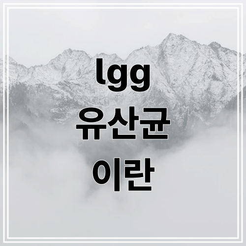 lgg 유산균 이란