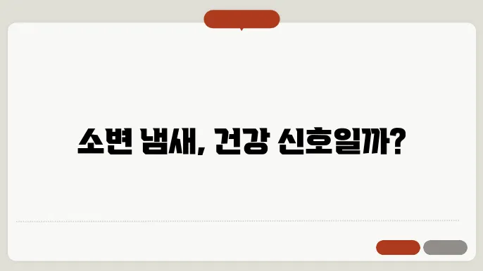 소변 냄새가 심할때 건강 이상 신호일까?