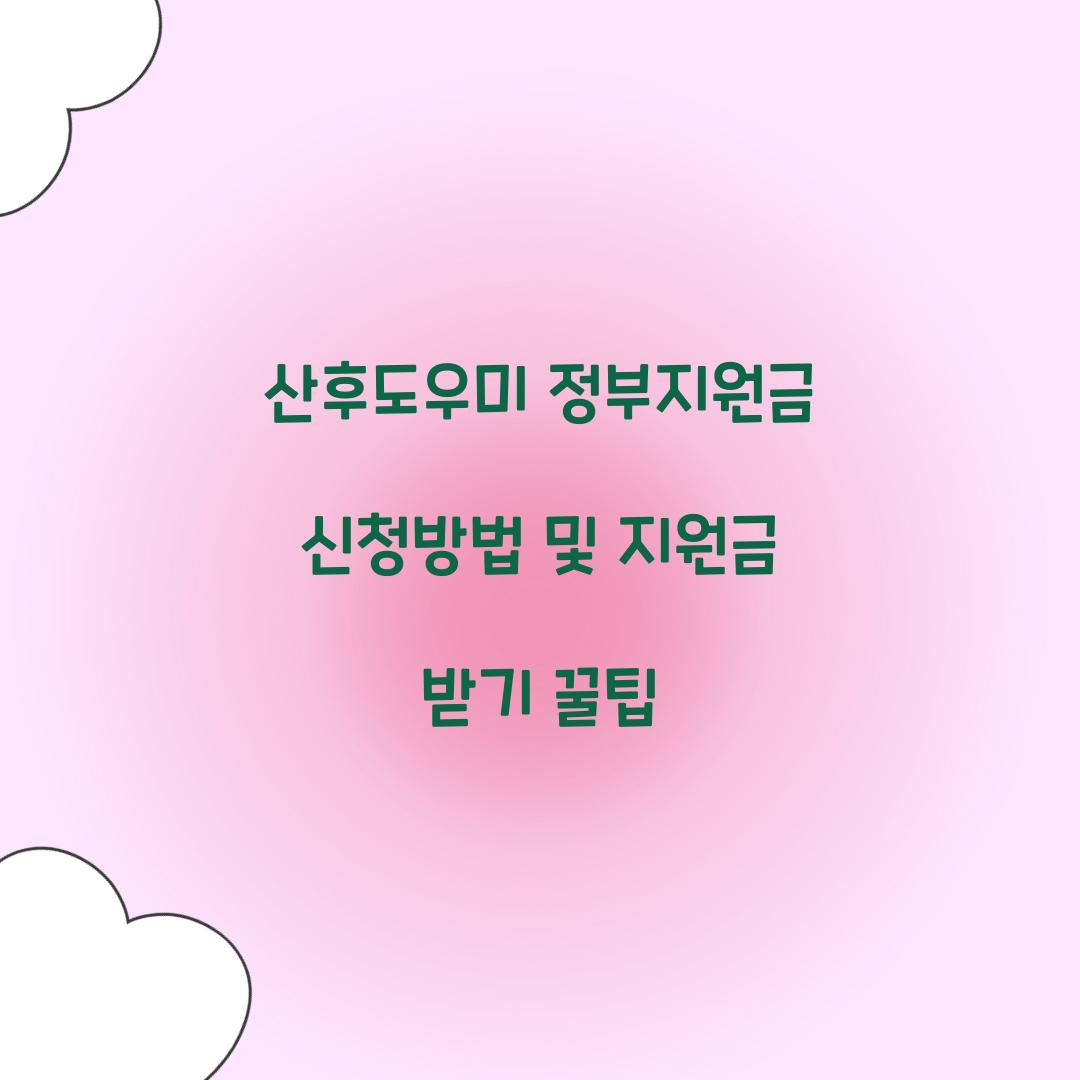 산후도우미 정부지원금