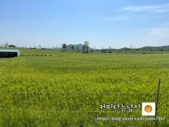 고창 가볼만한곳 베스트10 전북 여행지 추천_15