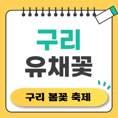 구리 유채꽃 축제