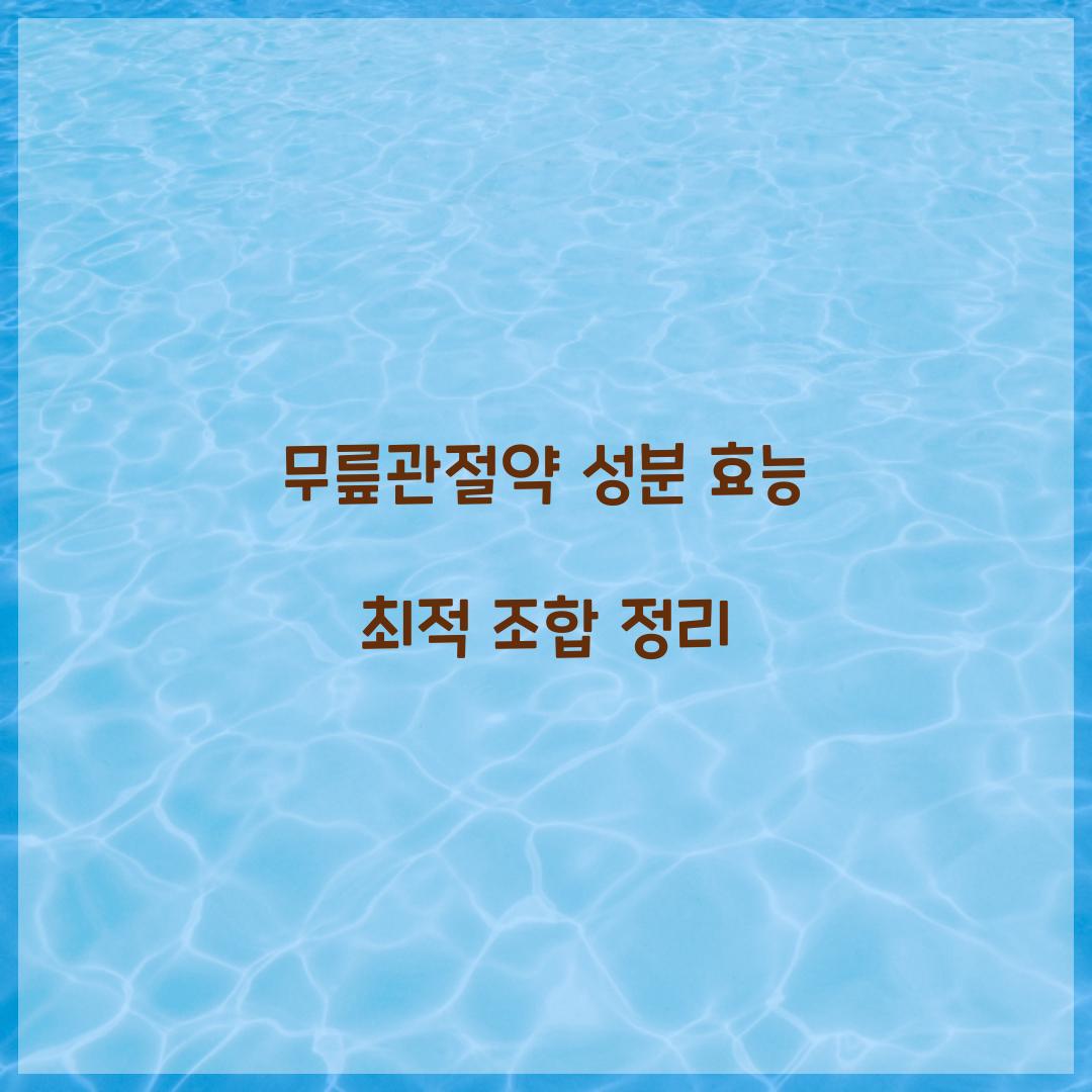 무릎관절약 성분 효능