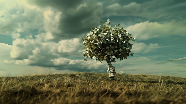 신용점수 700점 돌파 전략