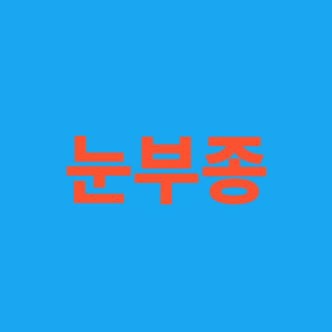 눈부종