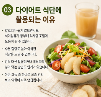 야콘 효능 "의외로 모르고 먹는다..." 혈당 관리 장건강 다이어트 효과 부작용까지 전부알려드림4