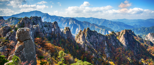 강원도 가볼만한곳4