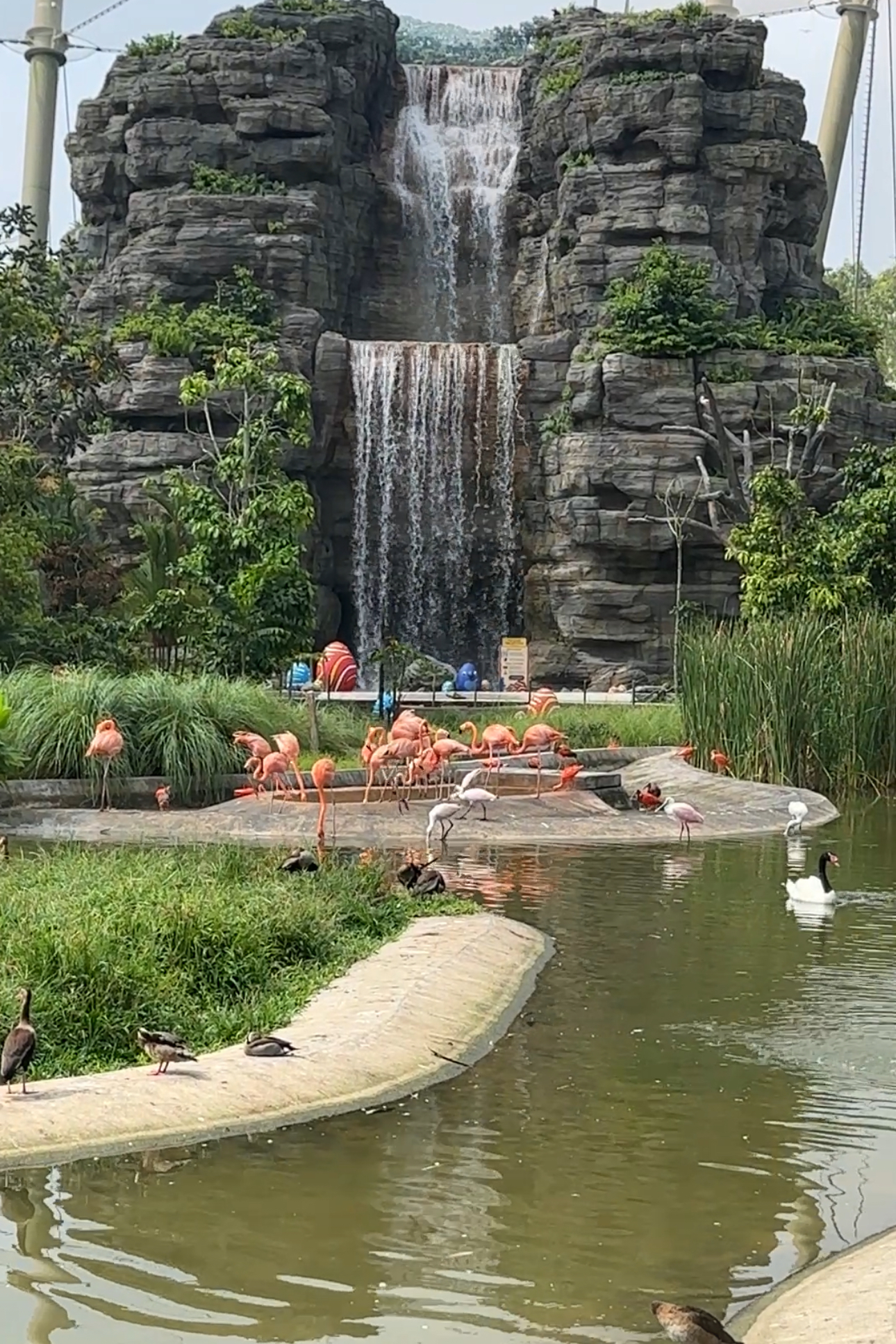 버드 파라다이스 내 플라밍고 파크 사진