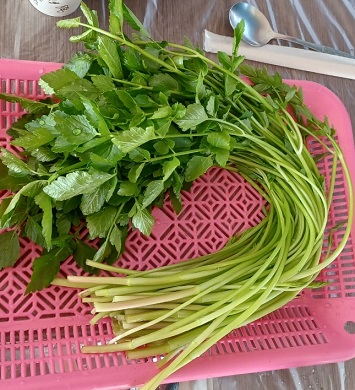 6시내고향-청도-한재미나리