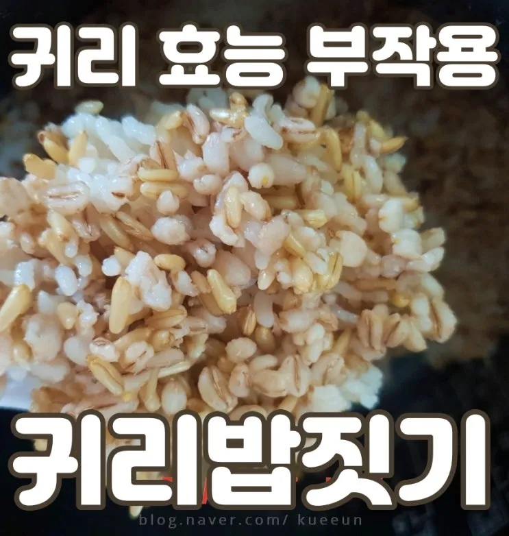 귀리 효능과 부작용 귀리 오트밀 차이점 안내_4