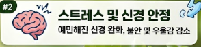 상추 효능
