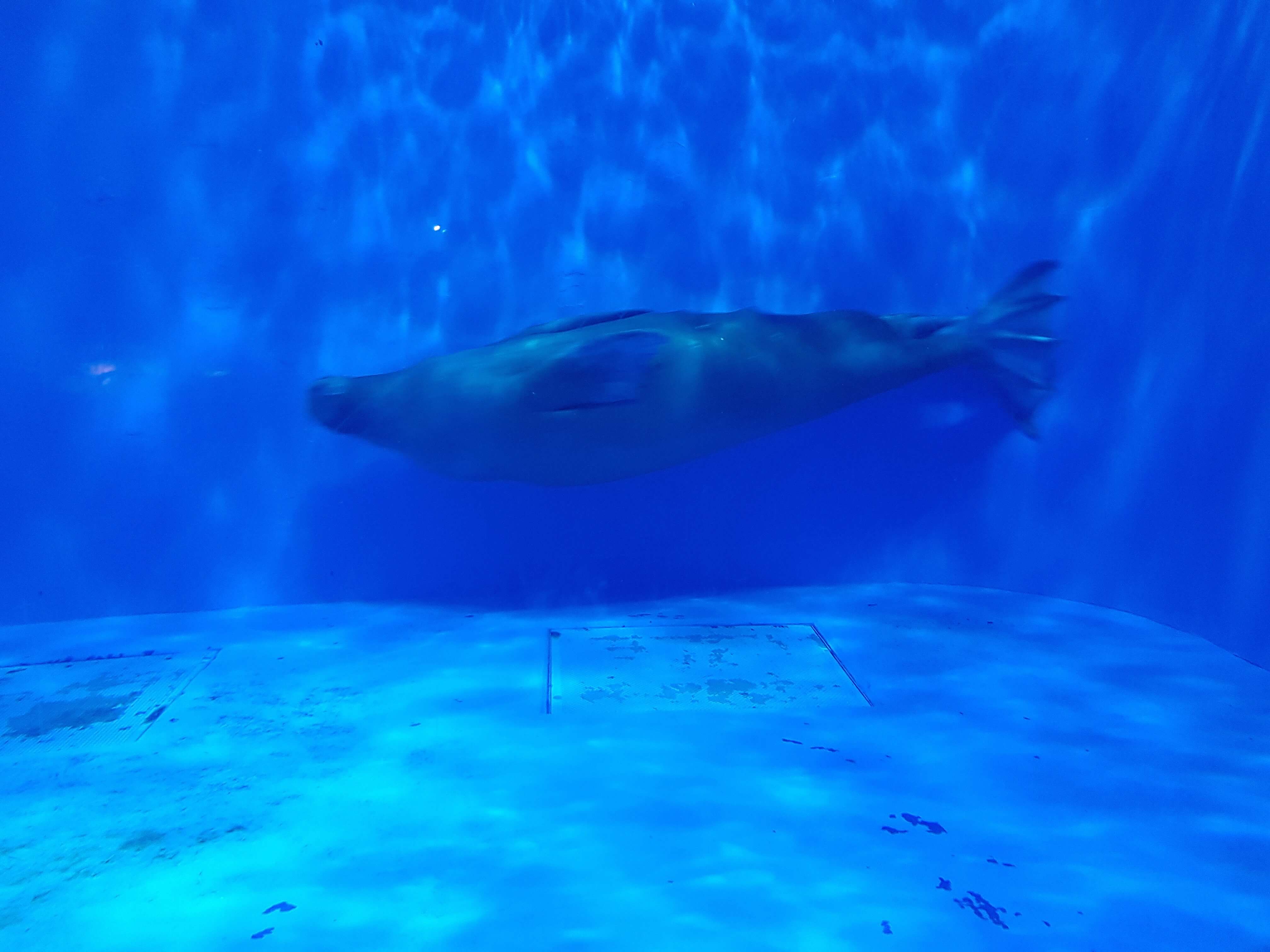 제주 동쪽 가족여행 (관광 동선, 맛집, 숙소)