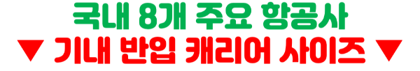 기내반입-캐리어-사이즈-무게-기내-수하물-항공사-규정-기내-반입-금지-물품-보안검색대-보조배터리-휴대용-선풍기-손-선풍기-면도기-고데기-드라이기-손톱깎이-눈썹칼-텀블러-액체류