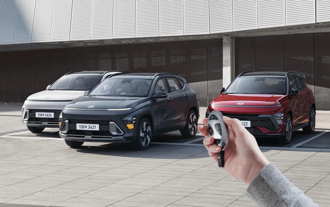 코나 하이브리드