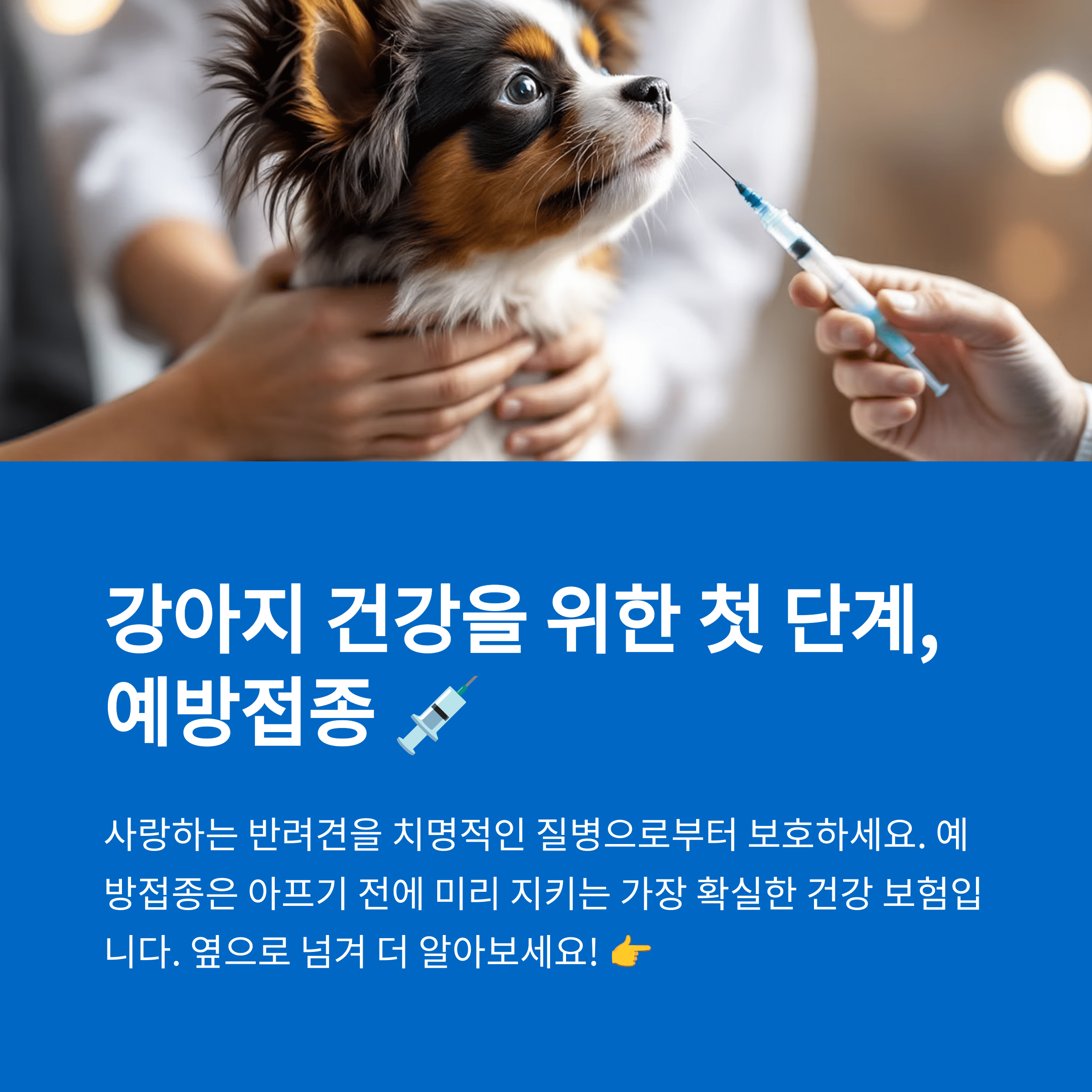 강아지예방접종