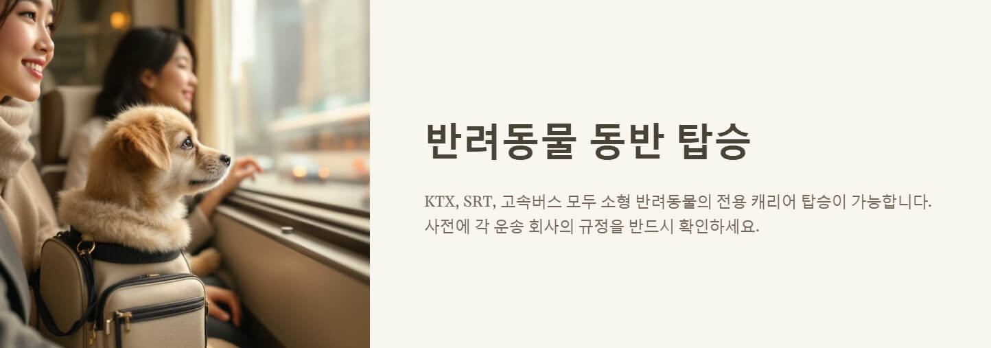 설날 승차권 구매 예매 방법