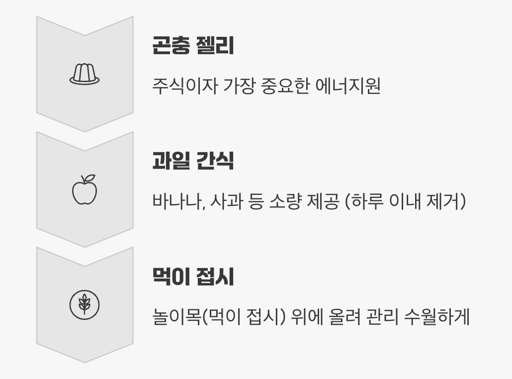 장군님을 위한 특식, '먹이'는 어떻게 줄까?