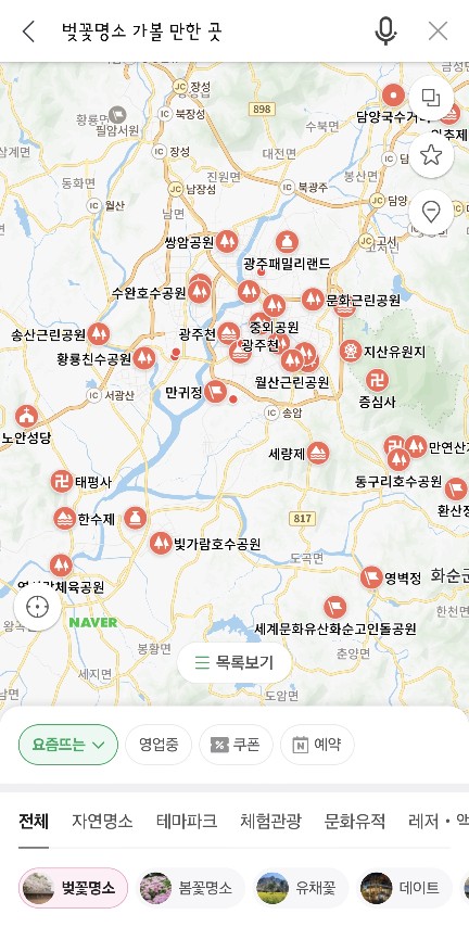 벚꽃 명소들